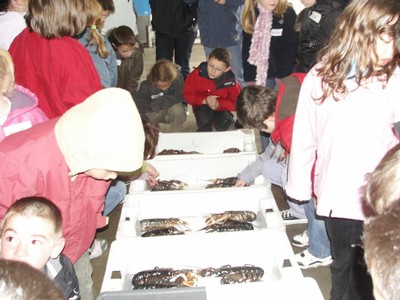 KIF_2455.JPG