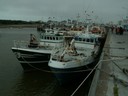 PICT0010.JPG