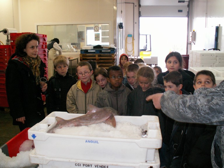 PICT0014.JPG