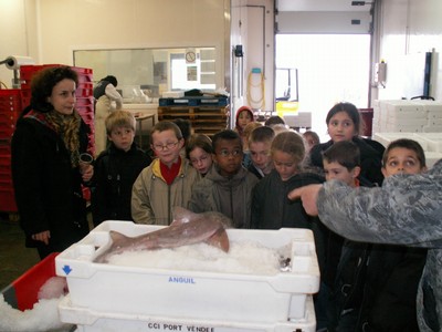PICT0014.JPG