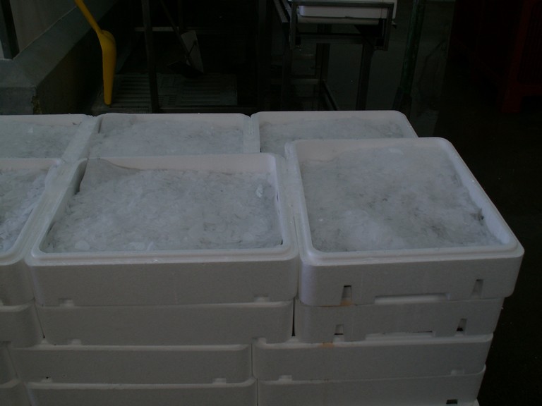 PICT0016.JPG
