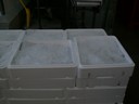 PICT0016.JPG