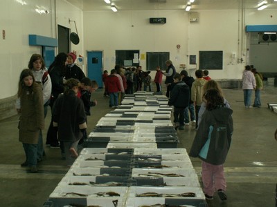 PICT0036.JPG