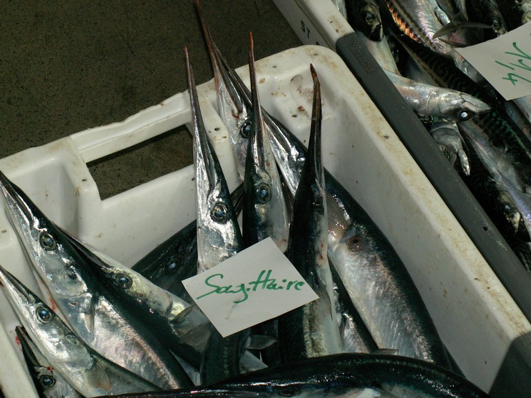 PICT0037.JPG