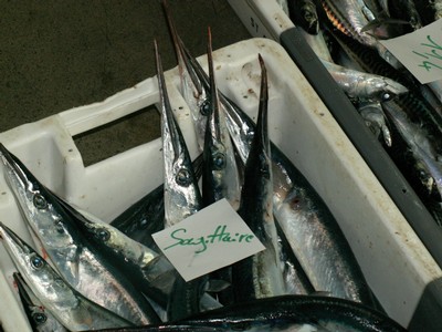 PICT0037.JPG