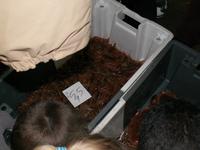 PICT0045.JPG
