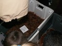 PICT0045.JPG