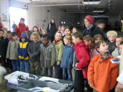 classe de mer a Bretignolles 017.jpg