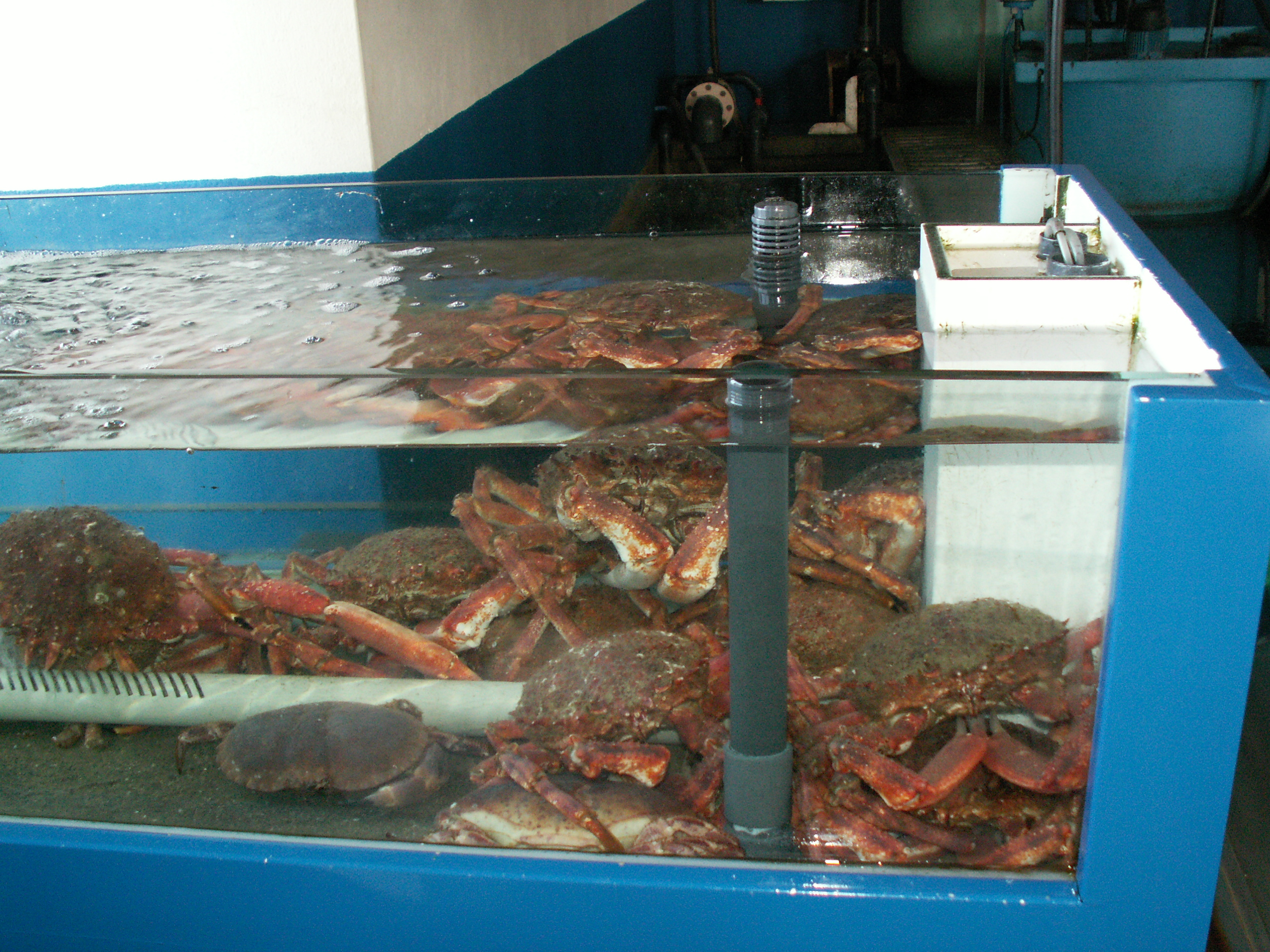 PICT0178.JPG