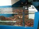 PICT0178.JPG
