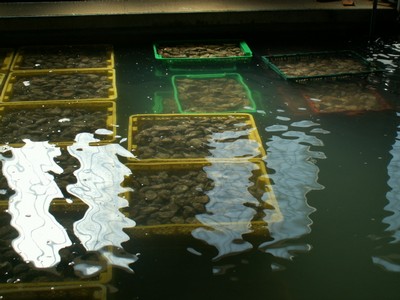 PICT0182.JPG