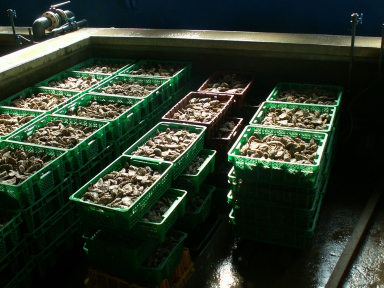 PICT0183.JPG