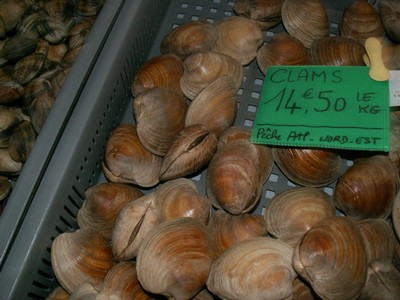 PICT0185.JPG