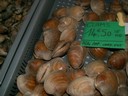 PICT0185.JPG