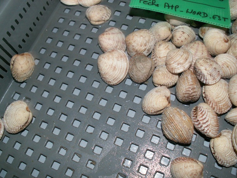PICT0187.JPG