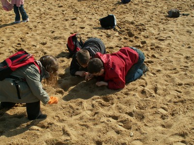 PICT0193.JPG