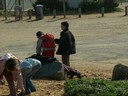 PICT0195.JPG