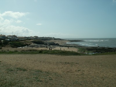 PICT0201.JPG