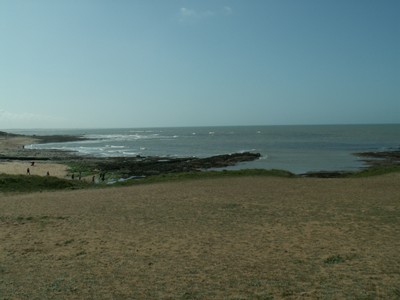 PICT0202.JPG
