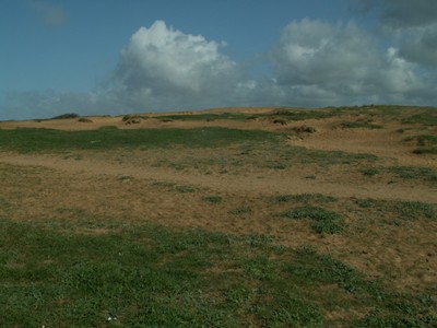 PICT0203.JPG