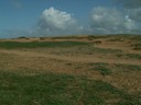 PICT0203.JPG