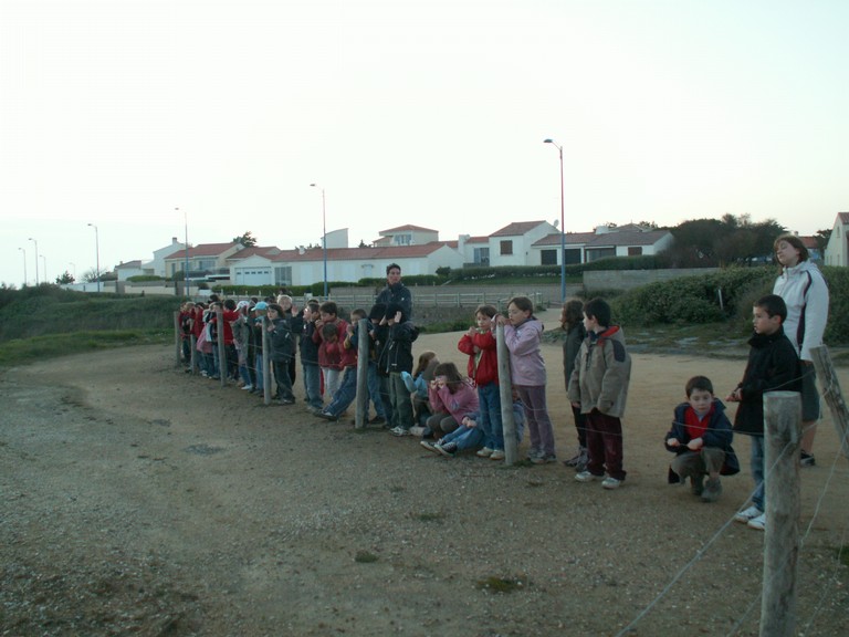 PICT0154.JPG