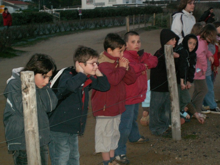 PICT0163.JPG