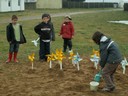 PICT0073.JPG