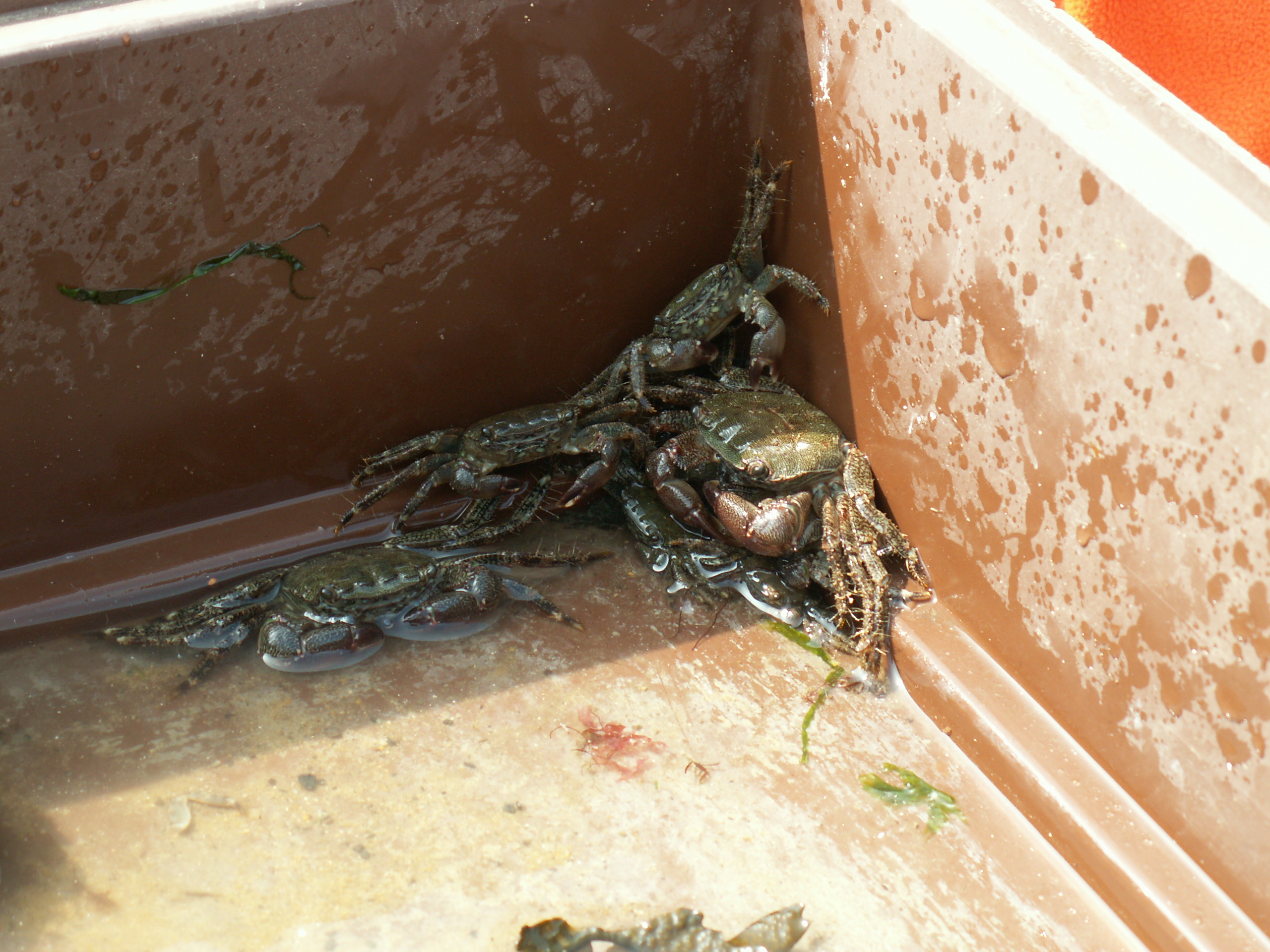PICT0114.JPG
