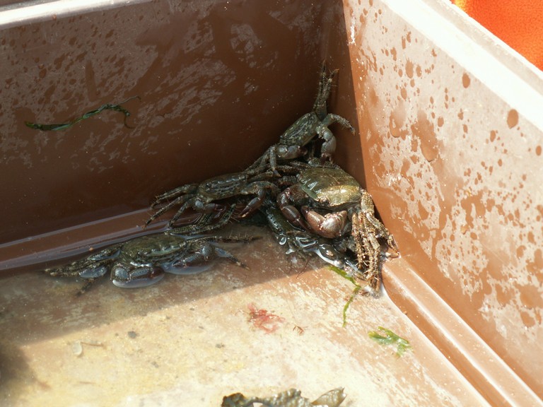 PICT0114.JPG