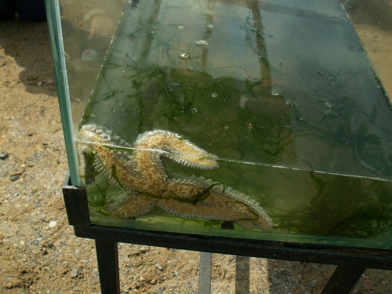 PICT0117.JPG
