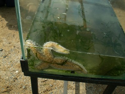 PICT0117.JPG