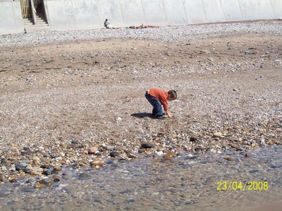 100_0043.jpg