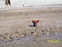 100_0043.jpg
