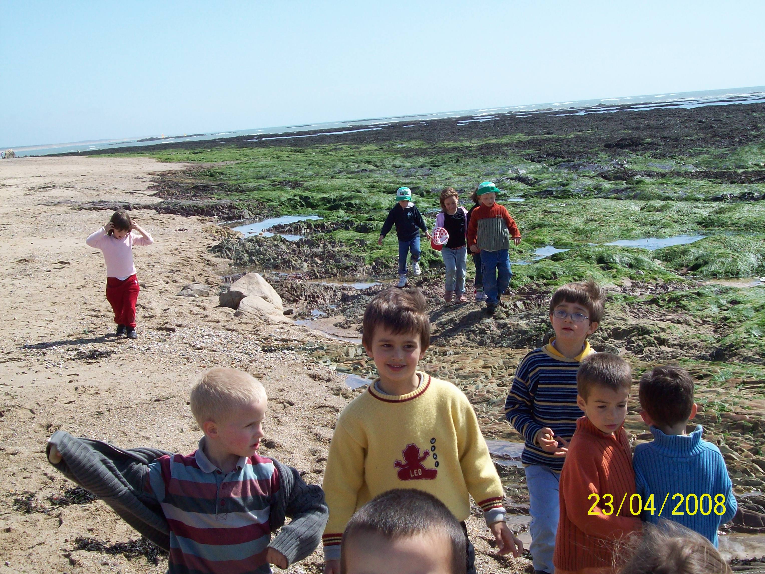 100_0050.jpg