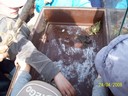 100_0128.jpg