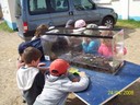 100_0129.jpg