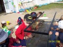 100_0133.jpg