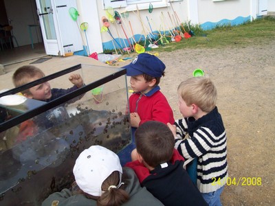 100_0135.jpg
