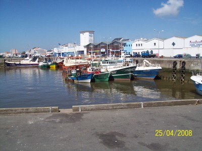 100_0173.jpg