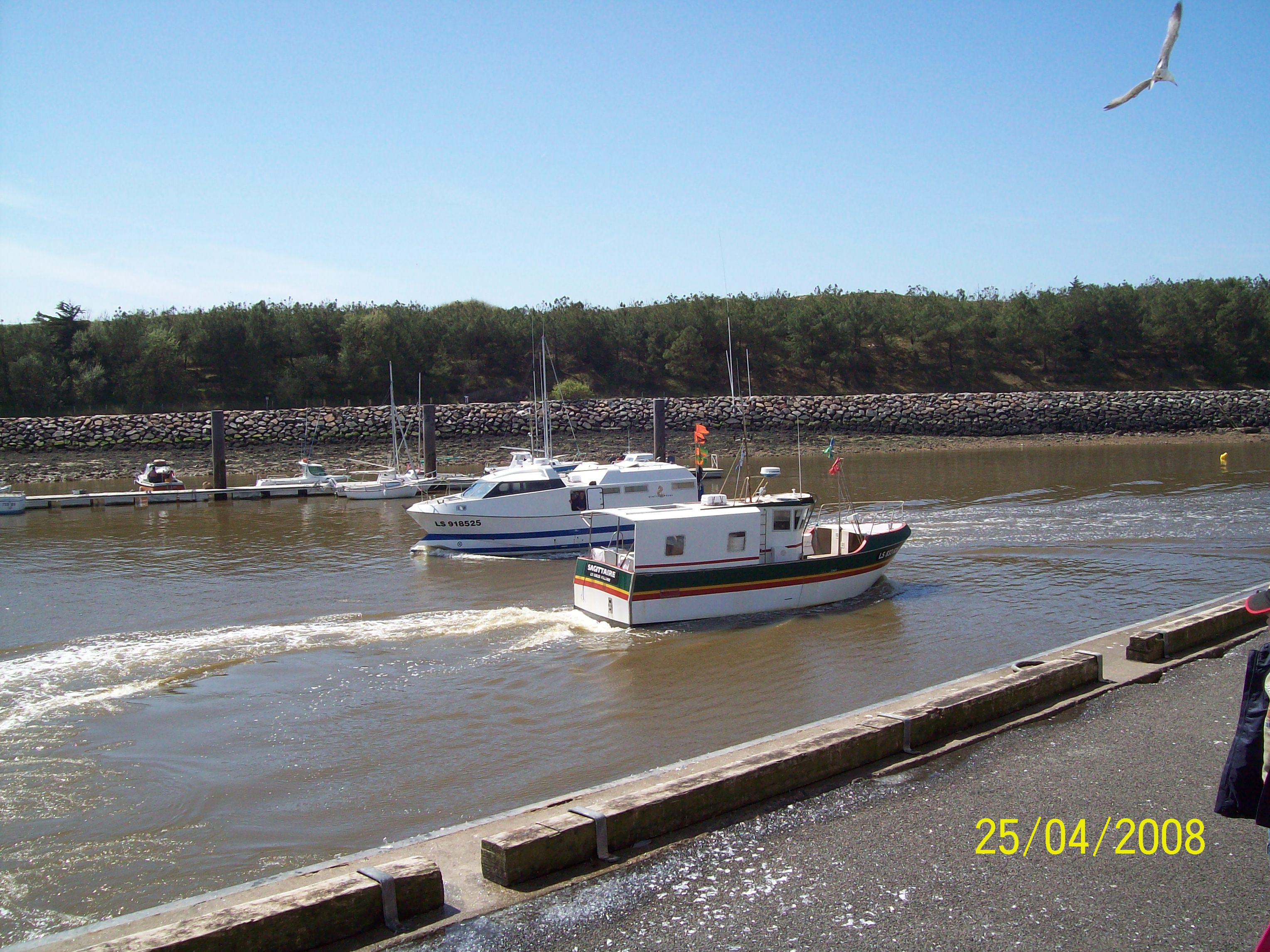 100_0176.jpg
