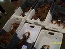 100_0178.jpg