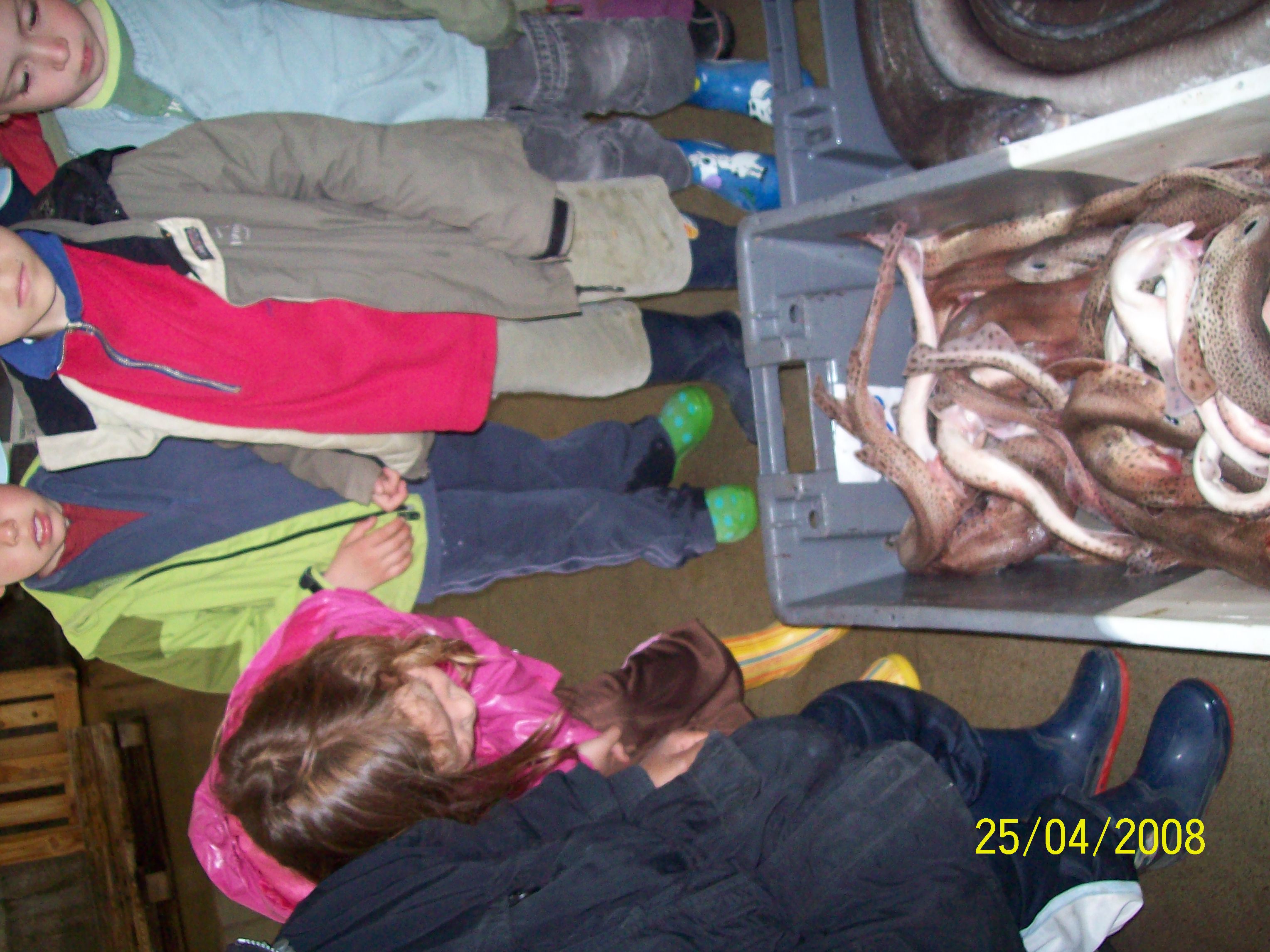 100_0184.jpg