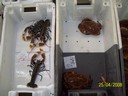 100_0185.jpg