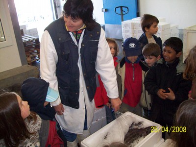 100_0186.jpg
