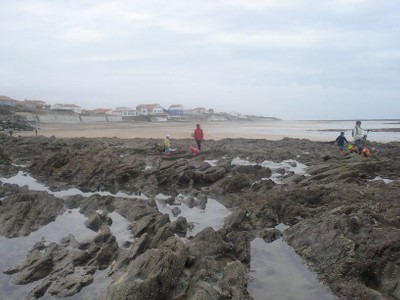 DSC00342.JPG