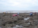 DSC00343.JPG