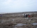 DSC00344.JPG