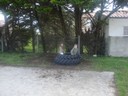 DSC00354.JPG