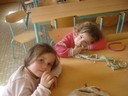 DSC00364.JPG